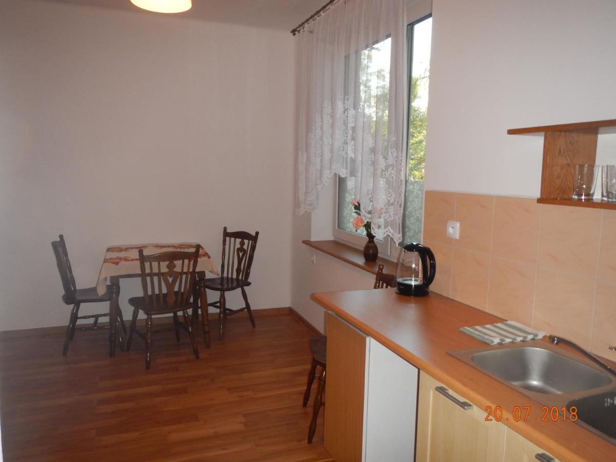 Apartament Providentia Zakopane Witkiewicza 3 Bagian luar foto