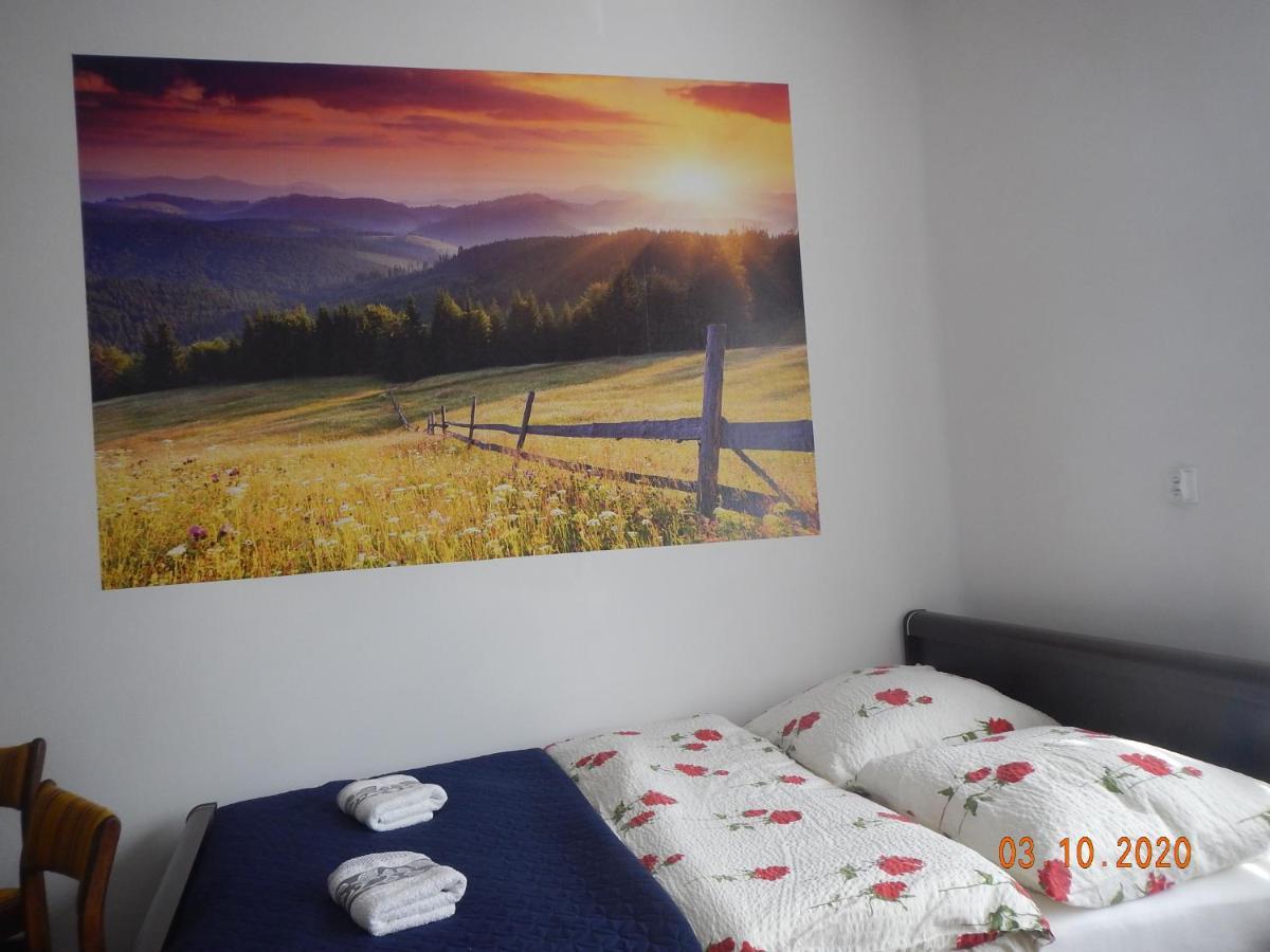 Apartament Providentia Zakopane Witkiewicza 3 Bagian luar foto